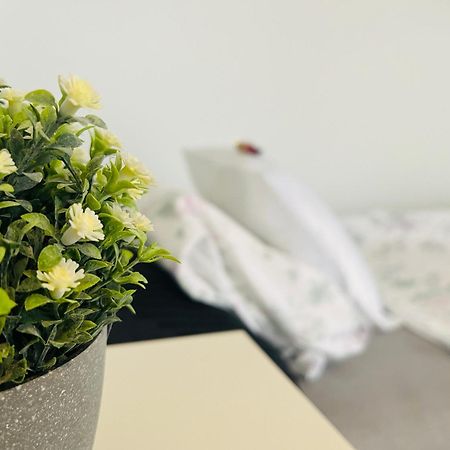 WulfrathZwergenstube公寓 外观 照片